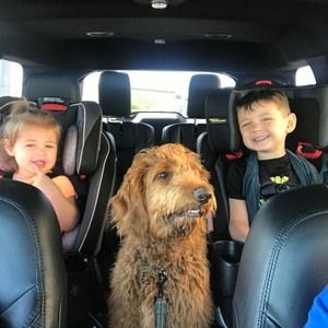 Meet your Posher, Denise